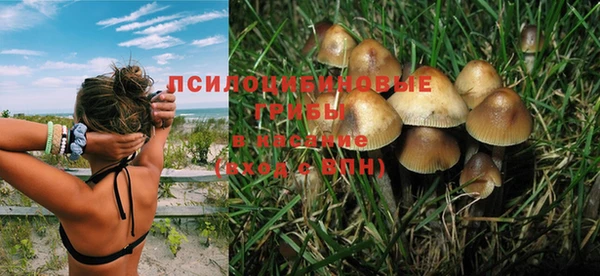 прущие грибы Бугульма